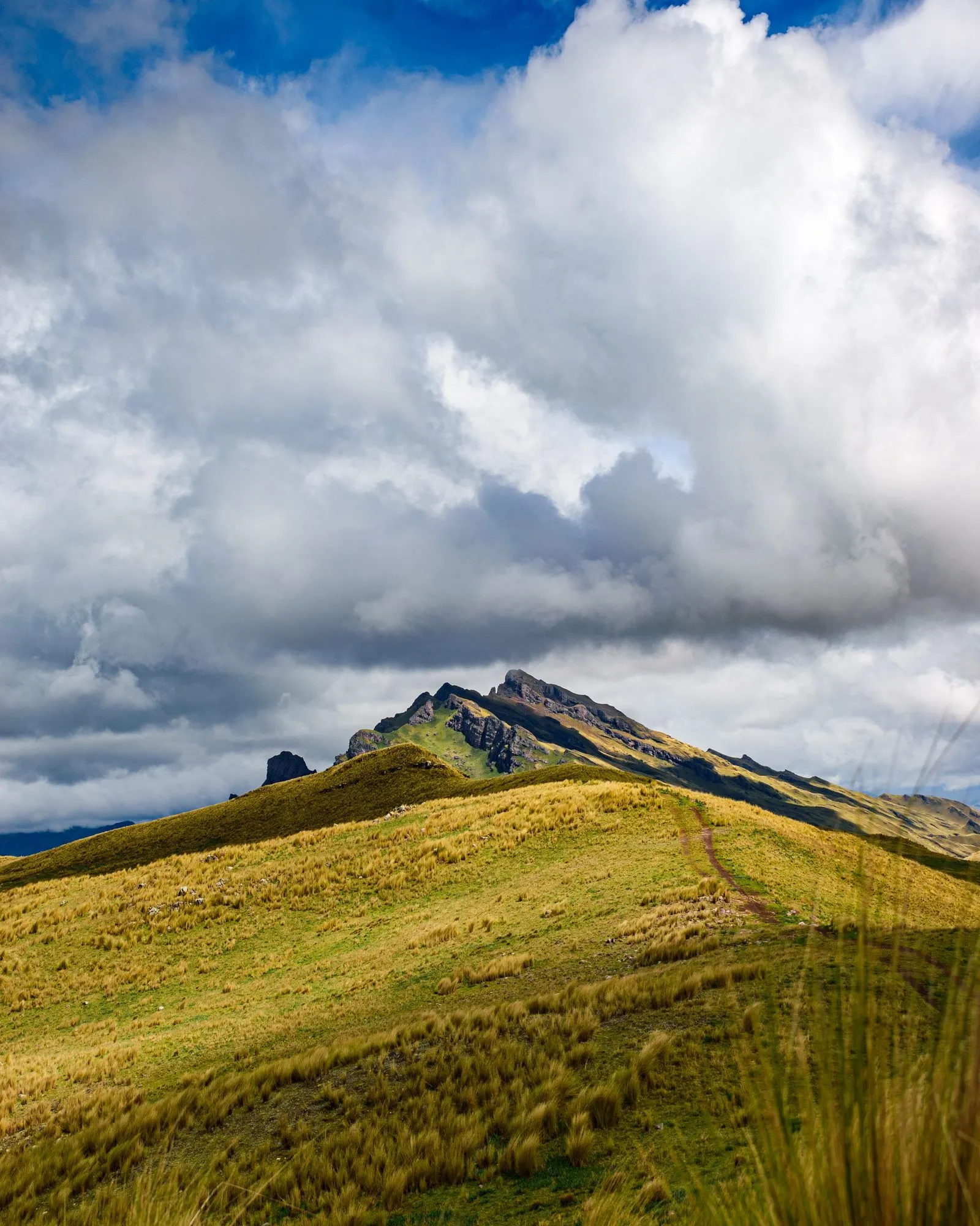 Páramo andino con cielo nublado